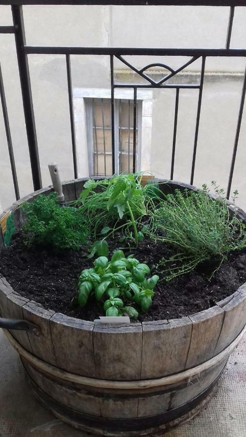 Gite Au Coeur De Volnay Beaune  Exteriér fotografie